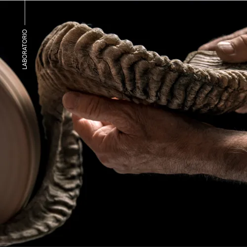 lorenzi_imgslider_03