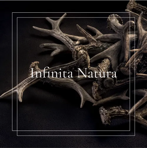 lorenzi_imgslider_13